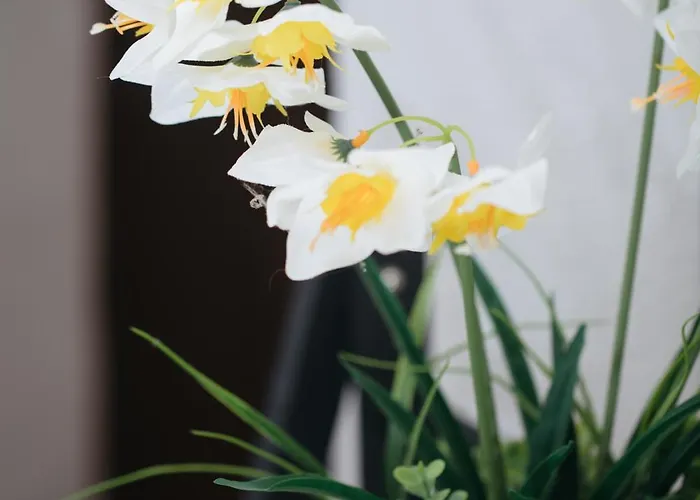 Le Di Maggie Vendégház